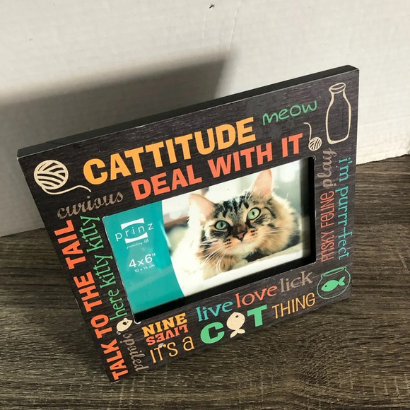 Cat Picture Frame - Picture 3 of 10